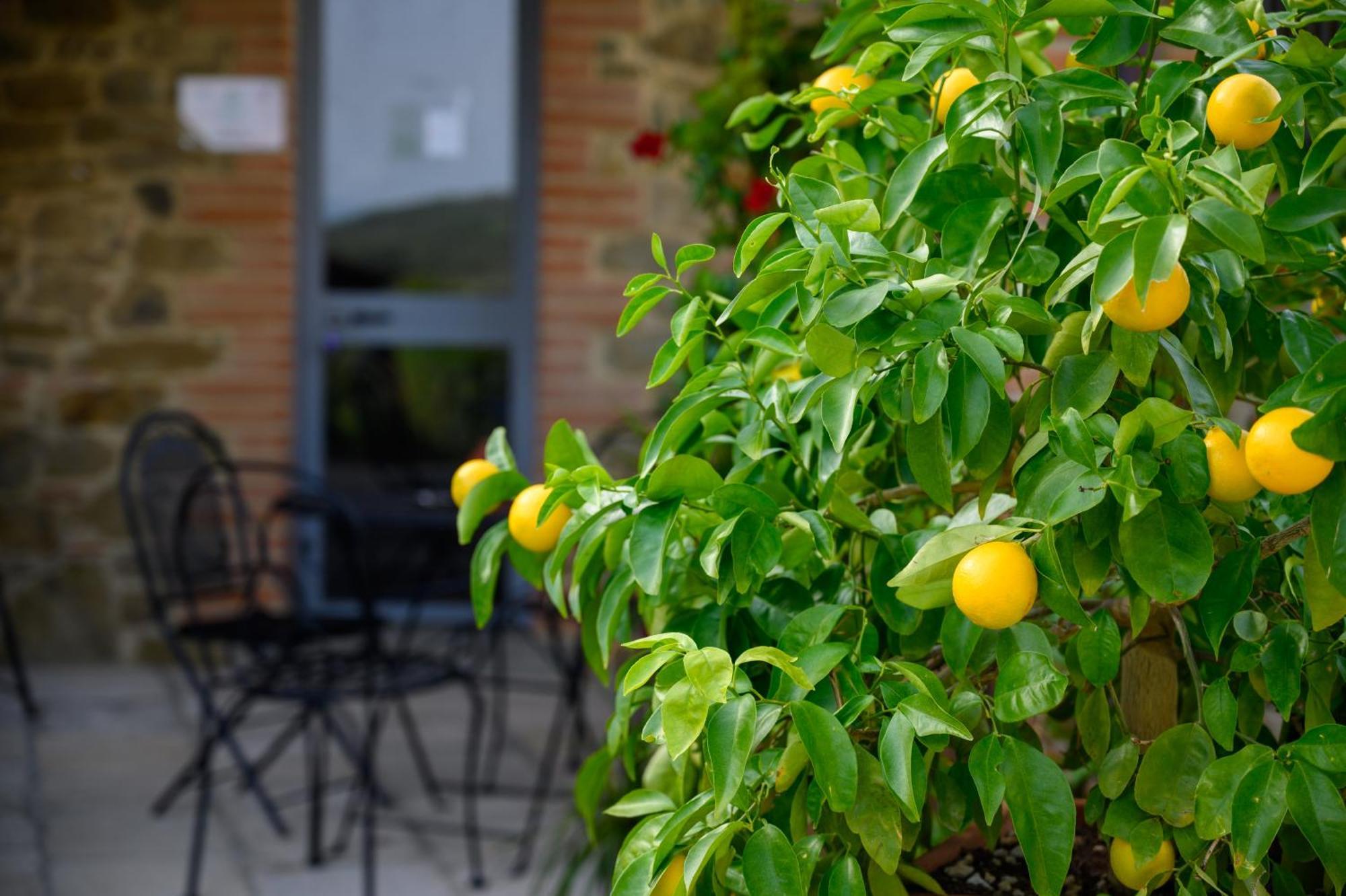 Agriturismo Borgo Sant'Ercolano Ciggiano المظهر الخارجي الصورة